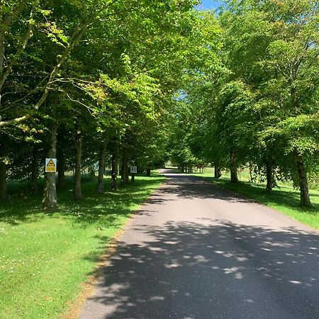 Fernhill Lodge Carrigaline Zewnętrze zdjęcie