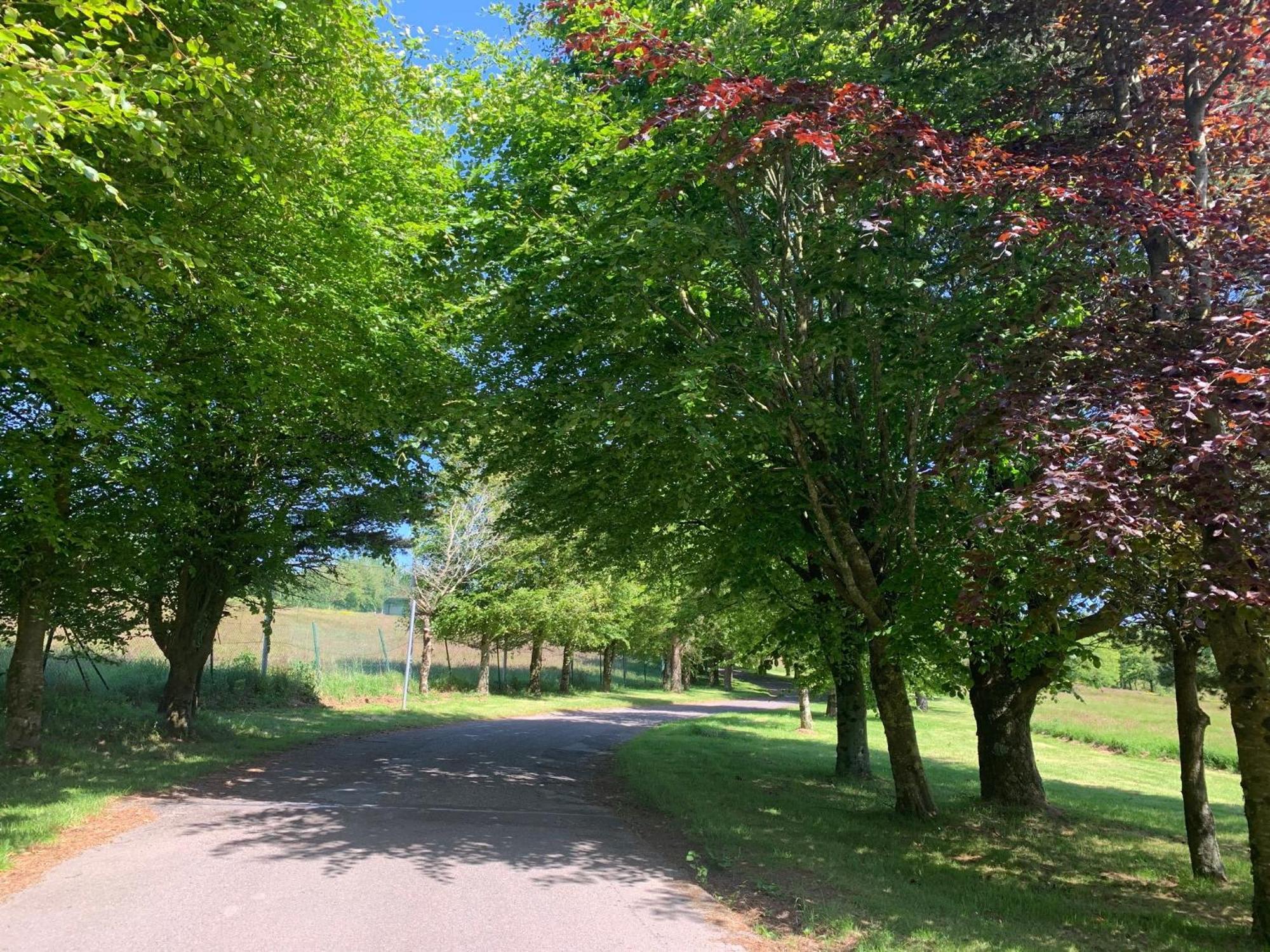 Fernhill Lodge Carrigaline Zewnętrze zdjęcie