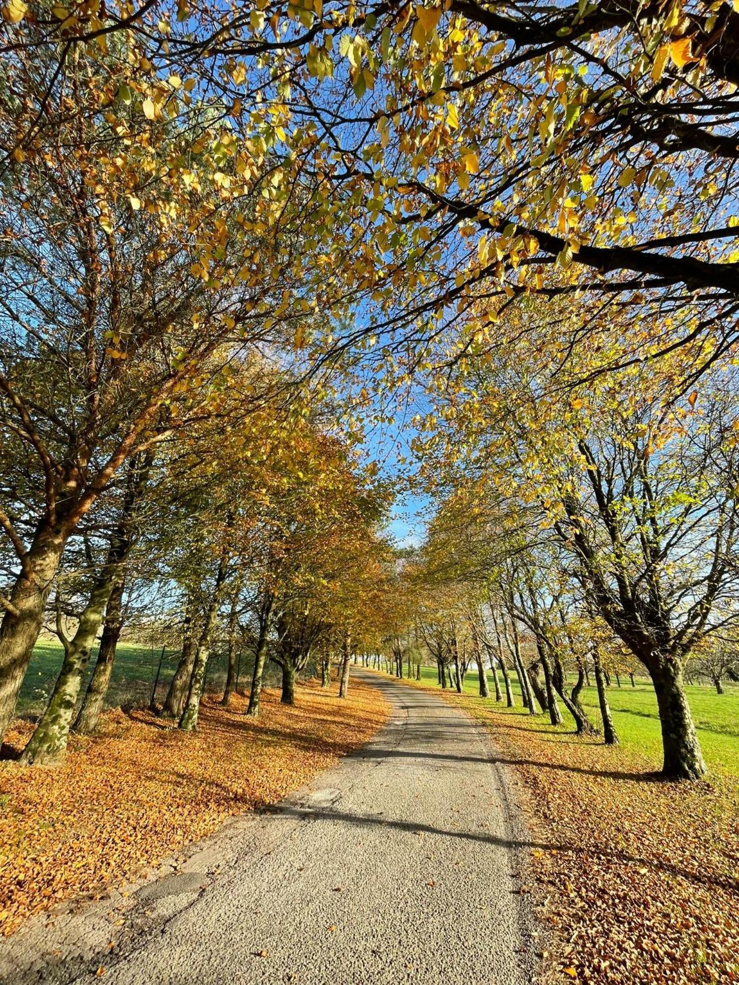 Fernhill Lodge Carrigaline Zewnętrze zdjęcie